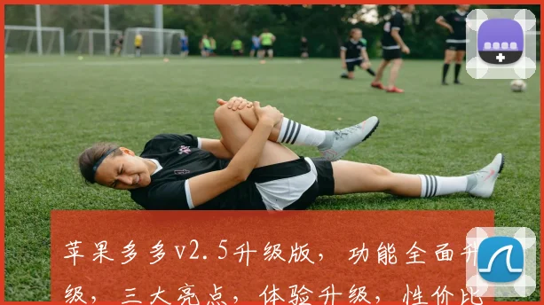 苹果多多v2.5升级版，功能全面升级，三大亮点，体验升级，性价比之选，值得拥有