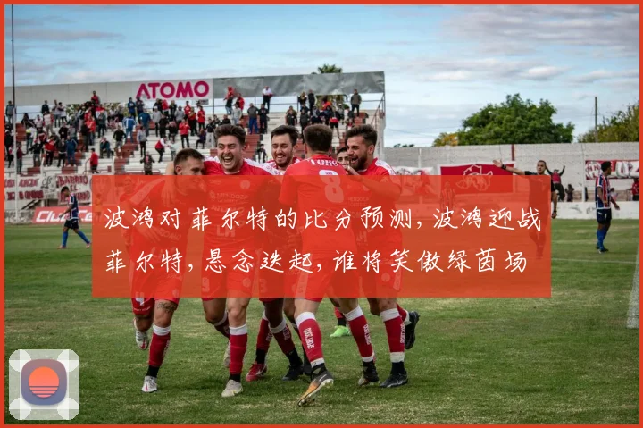 波鸿对菲尔特的比分预测,波鸿迎战菲尔特,悬念迭起,谁将笑傲绿茵场