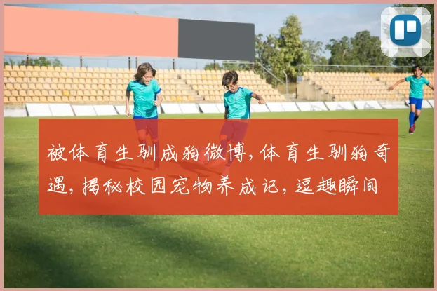 被体育生驯成狗微博,体育生驯狗奇遇,揭秘校园宠物养成记,逗趣瞬间逗笑你